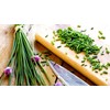 Chives Allium Schoenoprasum Wild Onion Wild Garlic Herb Garden Seeds