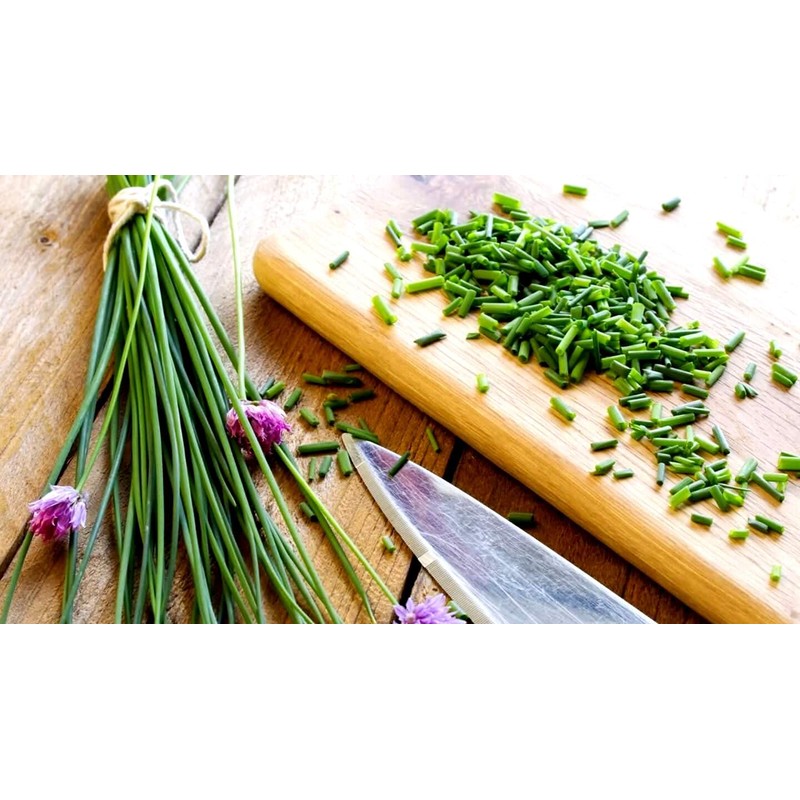 Chives Allium Schoenoprasum Wild Onion Wild Garlic Herb Garden Seeds