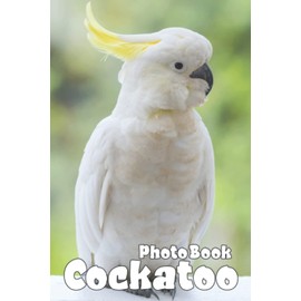 Cockatoo Photo Book: Wonderful Images Of Cockatoo For Adults/ Great Gift /Awesome Illustrations To Relax And Unwind