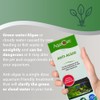 AquaCare Anti-Algae 250ml