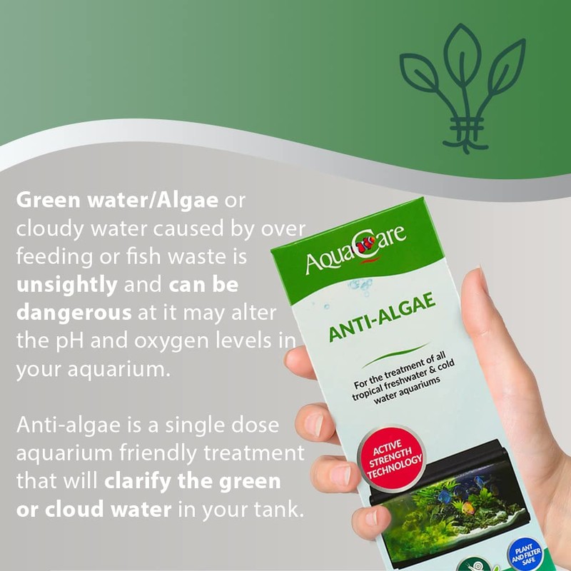 AquaCare Anti-Algae 250ml
