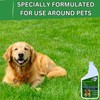 Urine Control Turf Deodorizer for Pet Urine - Bio-Enzymatic Odor