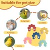 MiOYOOW 5PCS Bird Cone Collars, Parrot Anti-bite Collar Bird Recovery