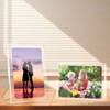 HBMIANICE 1 Pack(11×14) Acrylic Picture Frames Clear Magnetic Photo Frames
