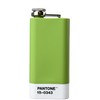 PANTONE Greenery 15-0343 Hip Flask Stainless Steel with Screw Cap
