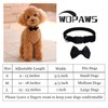 WDPAWS Dog Collar with Bowtie Soft Velvet Material with Quick