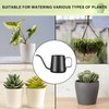 Lizhluzh Lizhluzh Watering Can Indoor Plants, Indoor Watering Can 12
