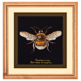 Thea Gouverneur - Counted Cross Stitch Kit - Bumble Bee - 2 - Aida Black - 14 count - Embroidery Kit for Adults - DMC Embroidery Threads and other Cross Stitch Supplies Included - 3018.07