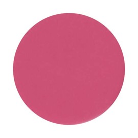 ANNA SUI Rouge 3.5 g 311