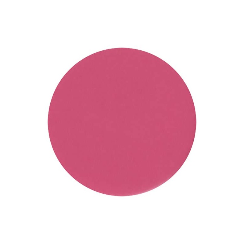 ANNA SUI Rouge 3.5 g 311