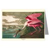 Twelve Assorted Notecards Of John James Audubon Celebrated Illustrations Of