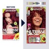 Garnier Hair Color Nutrisse Ultra Color Nourishing Creme, R2 Medium