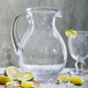 tag Bubble Clear Glass Pitcher with Handle 64 oz. Clear