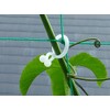 The Work, Will one-touch [Green Curtain] Gardening for convenient clip