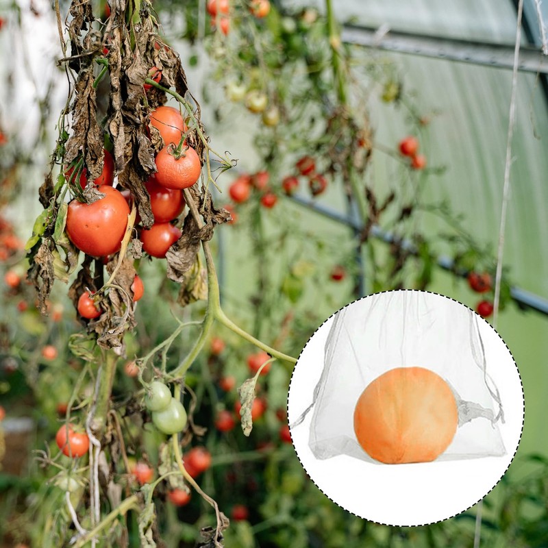 Rumyve24pcs Fruit Net Bag with Drawstring,20× 30cm Garden Fruit cover