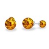 Amber Ball Earring Silver Double Sided Amber Stud Earrings Gift