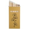 Azeeda 12 x 'Ginkgo Biloba Leaf' Long 178mm Coloured Pencils/Pencil