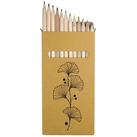 Azeeda 12 x 'Ginkgo Biloba Leaf' Long 178mm Coloured Pencils/Pencil Set (PE00063861)