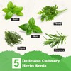 Indoor Herb Grow Kit, 5 Seeds Garden Starter Kit with