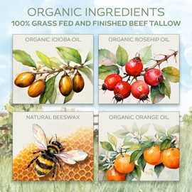 LVLY Life Whipped Beef Tallow Face Moisturizer - Grass Fed Grass Finished Beef- All Organic Ingredients - Natural, Hydrating Balm for Face + Body - Nourish and Soothe Sensitive Skin, 2 oz