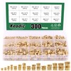Keadic 300 Pieces M2 M3 M4 M5 M6 Brass Embedding