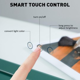 WAYKING Vanity Lighted Mirror for Bedroom, Colorful Makeup Mirror with USB Charging Port, Tabletop or Wall Mounted Mirror with 15 Dimmable LED bulbs, Large Hollywood Mirror with 3 Lighting Modes,Green