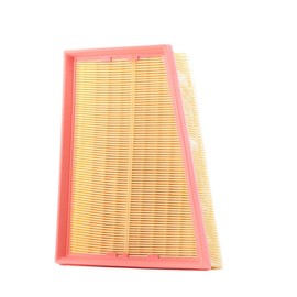 RIDEX 8A0251 Engine Air Filter Insert with Pre-Filter