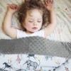 LAT Baby Blanket, Children's Blanket with Minky, Cuddly Blanket, Baby