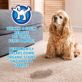 peepatrol Pet Stain + Odor Eliminator - 32 oz Spray Bottle (2 Pack) - Professional Strength Advanced Formula Tackles Biological Messes on Fabric, Carpet, and More