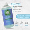 Shampoo Con Extracto De Cola De Caballo Productos Mart Mexico