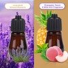 HAPPTWS Essential Oil Diffuser - Waterless Diffuser 3 Timer Settings