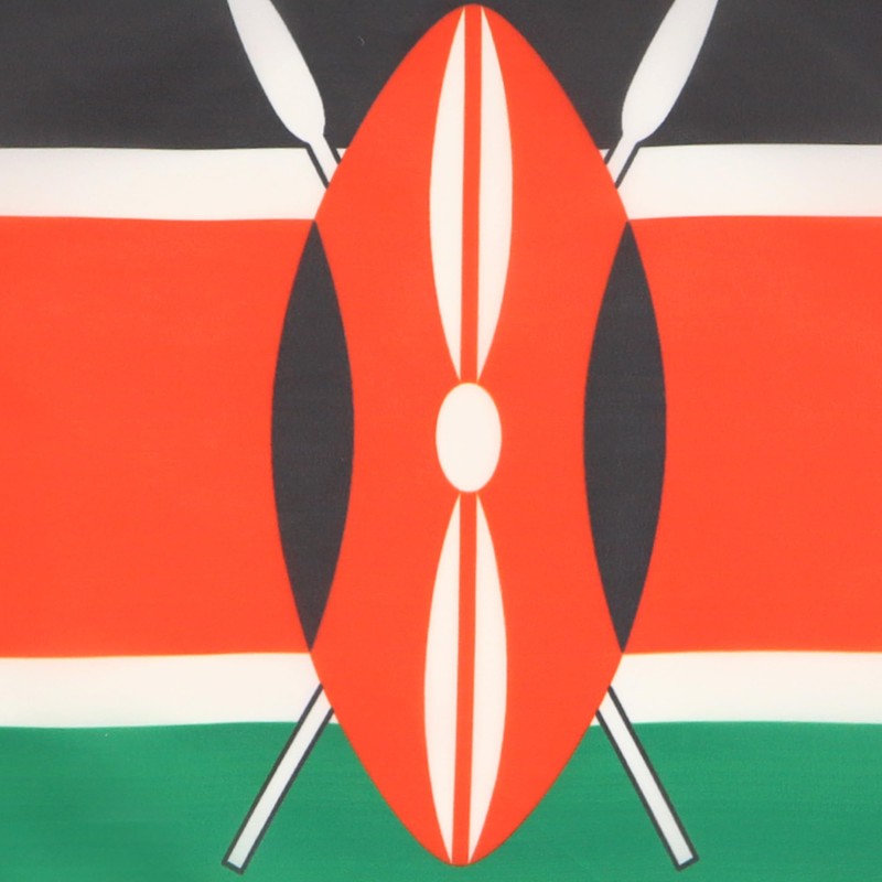 AZ FLAG Kenya Flag 18'' x 12'' cords - Kenyan