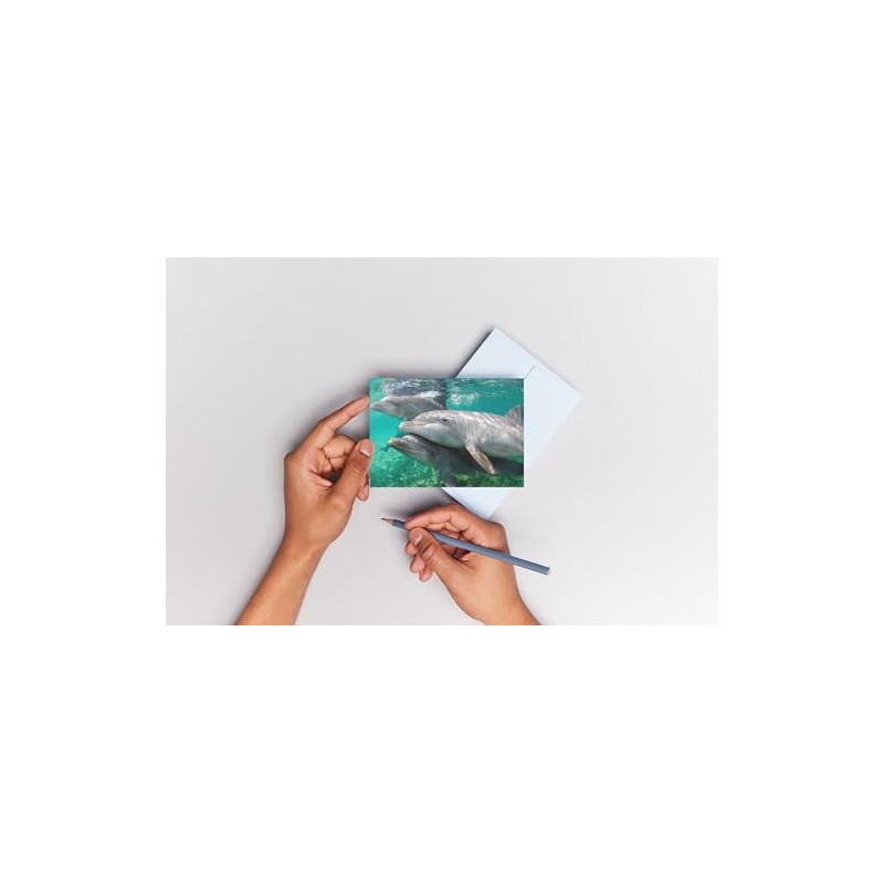 Edition Colibri Dolphins Under Water 3D Lenticular Postcard / Hologram
