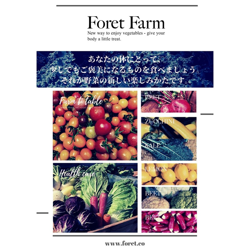 岡山県産 有機JAS 有機 菊芋 を100%使用 オーガニック 菊芋チップス 50g 農家直送 無農薬