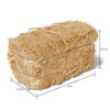 FloraCraft Decorative Straw Bale 2.5 Inch x 2.5 Inch x