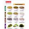 Chandan Mouth Freshener Fresh Mint Paan, 2.54 oz / 72