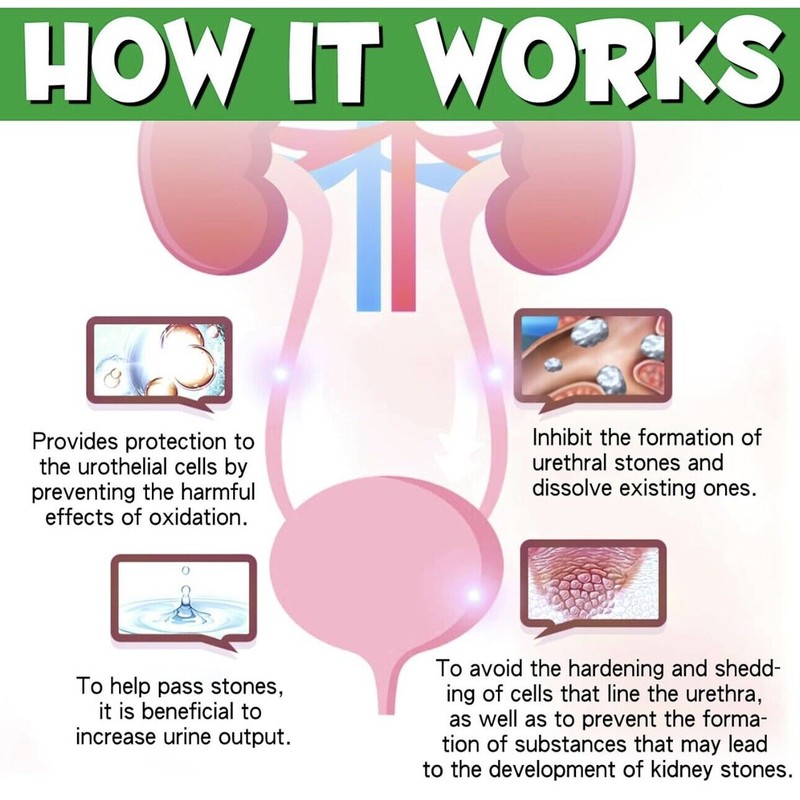 Oimmal Natural Dog Urinary Tract Infection Supports Bladder , Dog