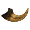 Deinonychus Raptor Dinosaur Claw Replica Museum Quality Cast Fossil Specimen