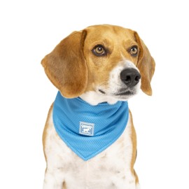 Canada Pooch Cooling Bandana for Dogs - Summer Triangle Scarf, Suitable for Small Medium Large Dogs (M, Blue)