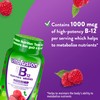 Vitafusion store Vitafusion B12 Adult Vitamin Gummies, 1000 Mcg Vitamin
