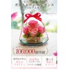 IPFA Preserved Flower, Glass Dome, Elegance, Premium (Thank You Model),