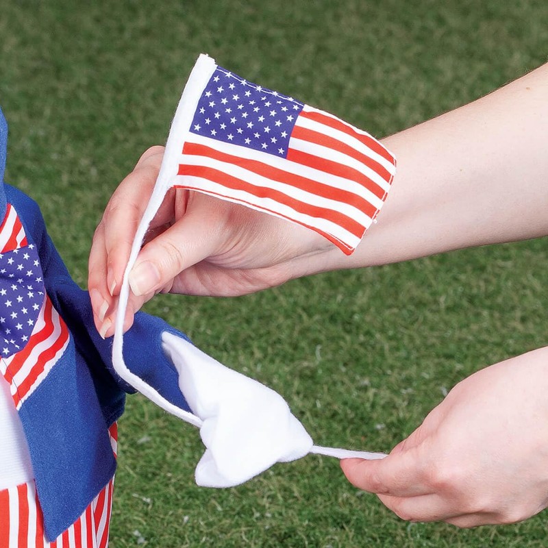 Fox Valley Traders Gaggleville Uncle Sam Goose Outfit, Fits Large