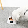 Sonew Comedero Automático para Gatos, Cuenco Extraíble, Comedero para Perros