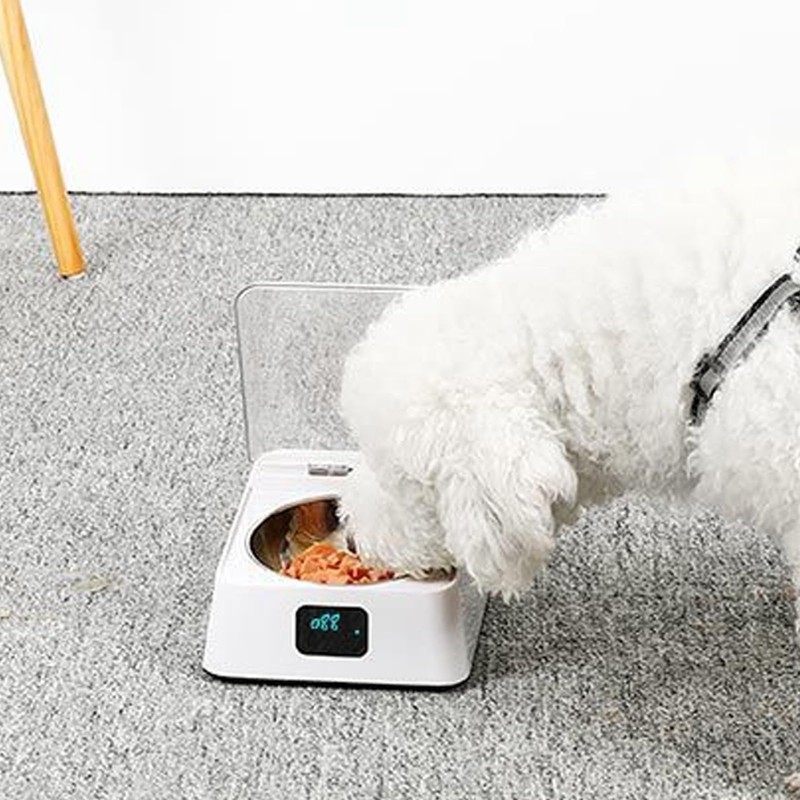 Sonew Comedero Automático para Gatos, Cuenco Extraíble, Comedero para Perros