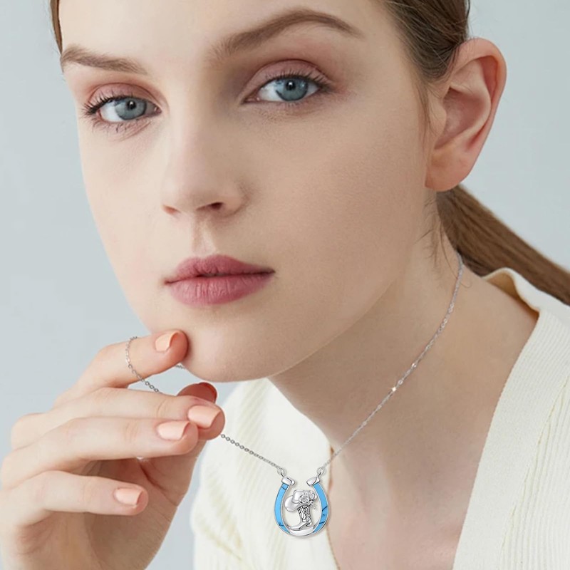 HPQQ Horseshoe Necklace 925 Sterling Silver Turquoise Cowgirl Necklaces Western