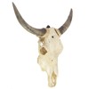 ZENFUN 12 Packs Mount Skull Hanger, Deer Skull Hanger, European