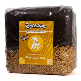 Mycelium's Superior Dung-Loving Mushroom Substrate & Whole Oats Mix - 6LB All-in-One Premium Coir, Vermiculite & Gypsum Formula, Pre-Sterilized & Ready for Easy Home Cultivation