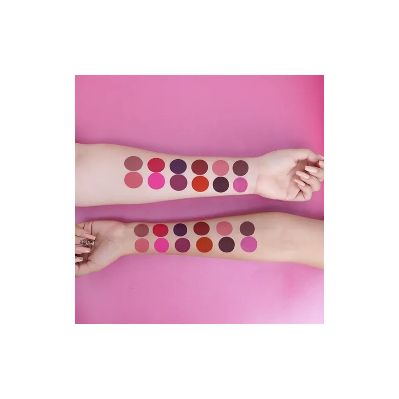 Pink Up, Labial Indeleble, Alta Pigmentación, No Cuartea Color Terracota