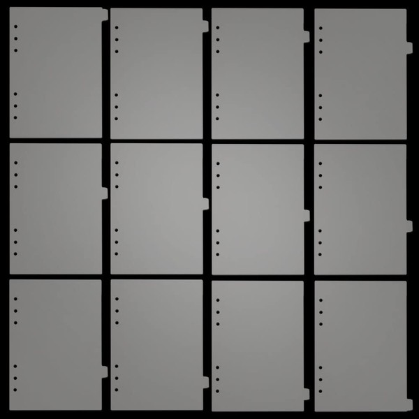 seimeinoki Divider Cards, A5, 12 Slots, Translucent, pp, 6 Holes,