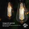 DEWENWILS 6 Pack Vintage LED Edison Bulbs,Dimmable ST64 LED Filament